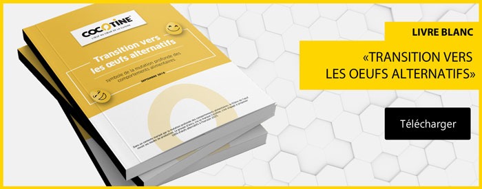 Oeufs alternatifs livre blanc